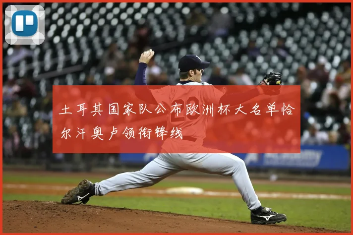 土耳其国家队公布欧洲杯大名单恰尔汗奥卢领衔锋线