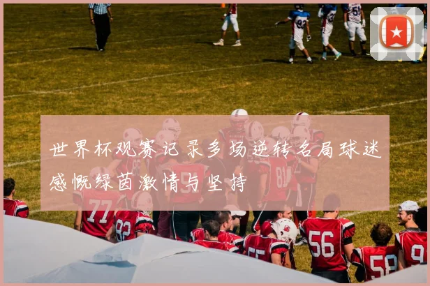 世界杯观赛记录多场逆转名局球迷感慨绿茵激情与坚持