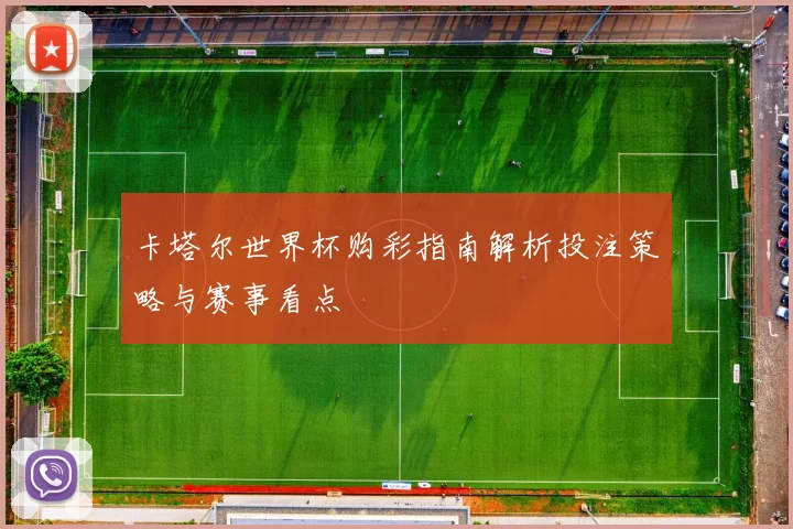 卡塔尔世界杯购彩指南解析投注策略与赛事看点