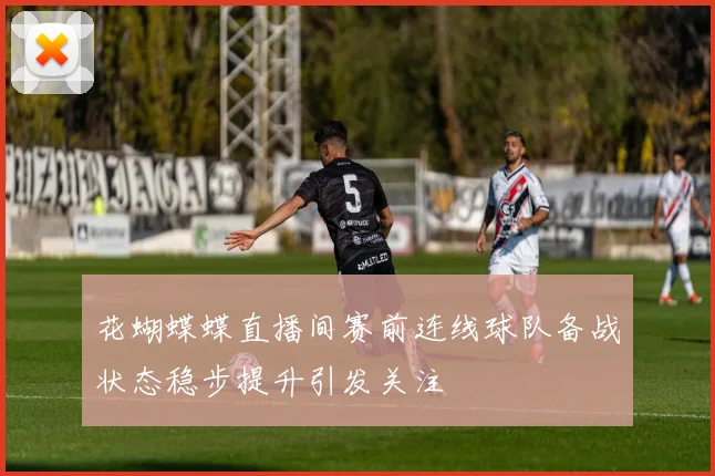 花蝴蝶蝶直播间赛前连线球队备战状态稳步提升引发关注