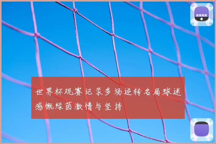 世界杯观赛记录多场逆转名局球迷感慨绿茵激情与坚持