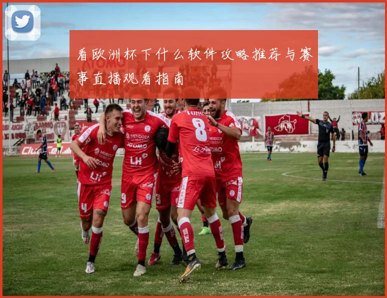 看欧洲杯下什么软件攻略推荐与赛事直播观看指南
