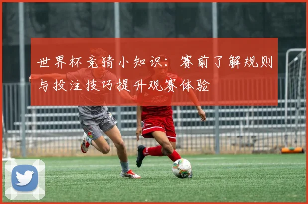 世界杯竞猜小知识:赛前了解规则与投注技巧提升观赛体验