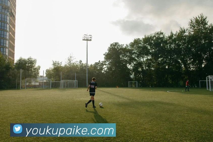 星空平台app官网服务体系